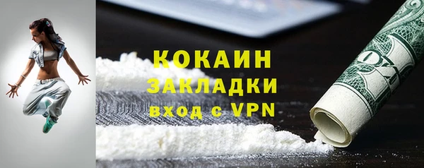 шишки Абаза