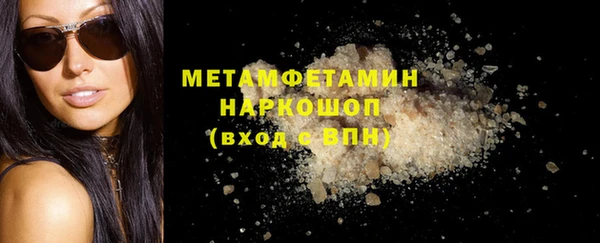 шишки Абаза