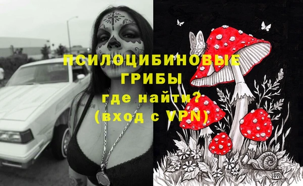 соль ск Абдулино