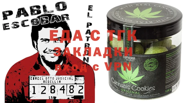 шишки Абаза