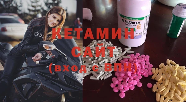 шишки Абаза