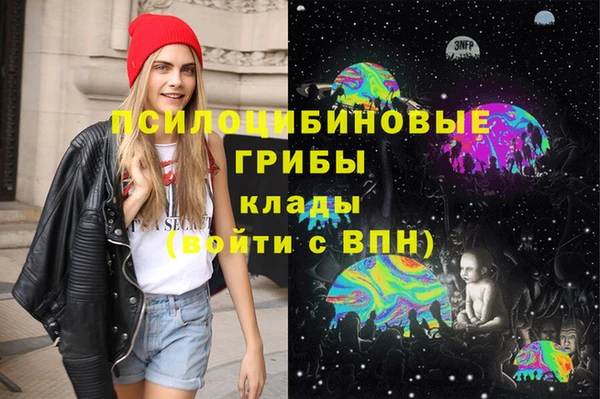 сатива Абинск