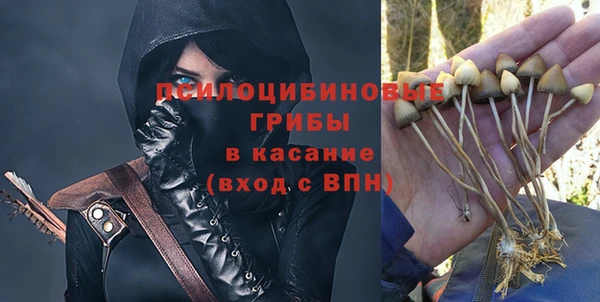 шишки Абаза