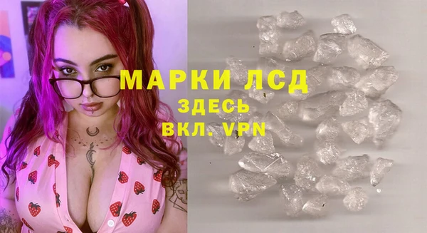 сатива Абинск