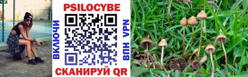 хочу наркоту Хабаровск KRAKEN сайт Галлюциногенные грибы Psilocybe